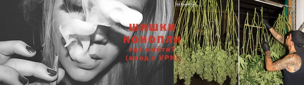 дживик Баксан