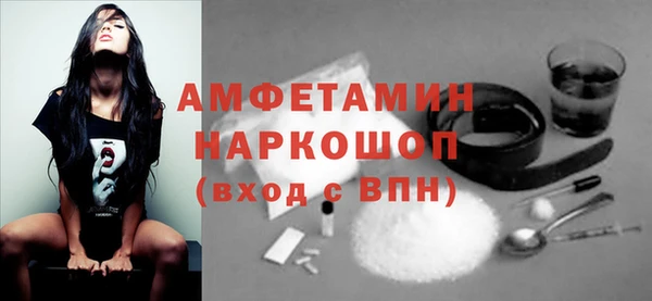 прущие грибы Приозерск