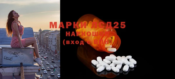 прущие грибы Приозерск