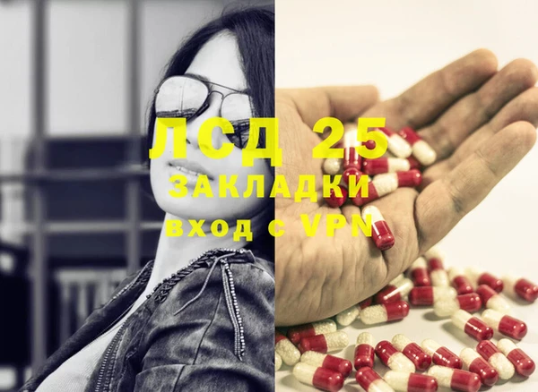 ПСИЛОЦИБИНОВЫЕ ГРИБЫ Белоозёрский