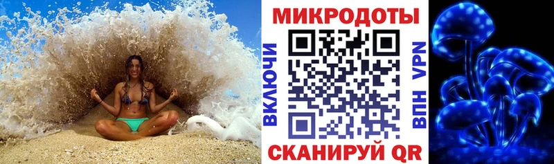 Псилоцибиновые грибы мухоморы  Гагарин 